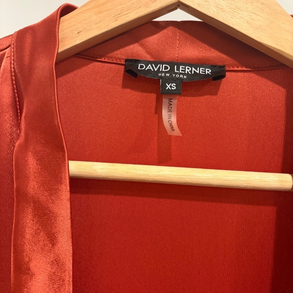 David Lerner Burnt Orange Satin Bow Blouse Ruffle Hem Top size XS - Picture 5 of 7
